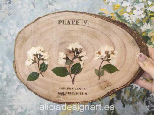 Cuadros con rodajas de madera natural decoradas con flores blancas - Taller decoración de muebles antiguos Madrid estilo Shabby Chic, Provenzal, Romántico, Nórdico